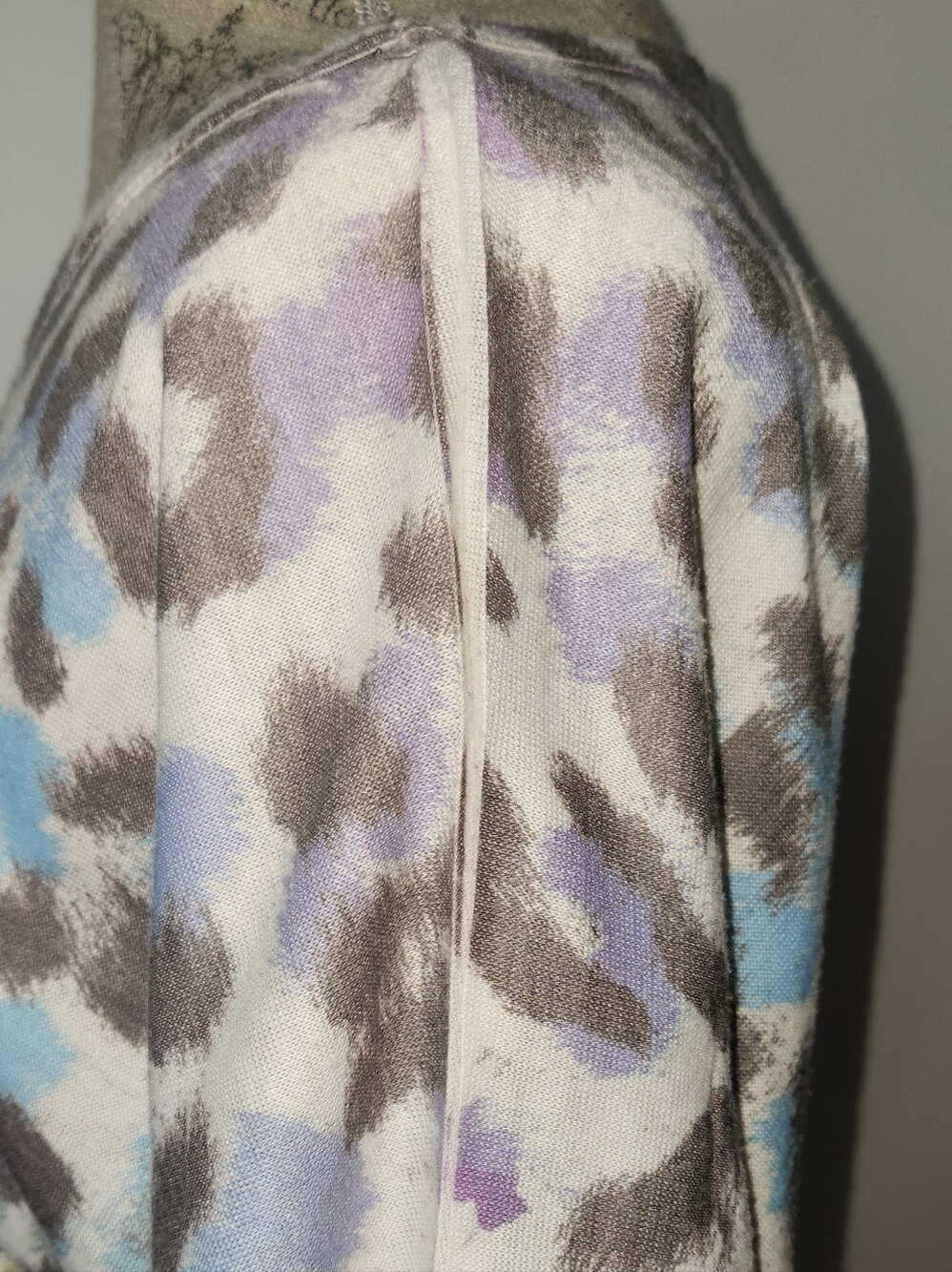 Leopard - Picture 8 of 11
